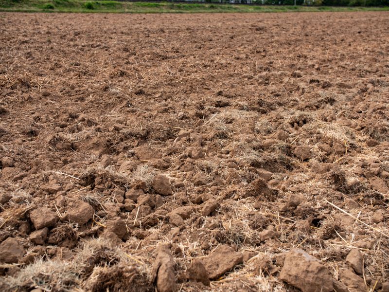 Autumn Soil Preparation