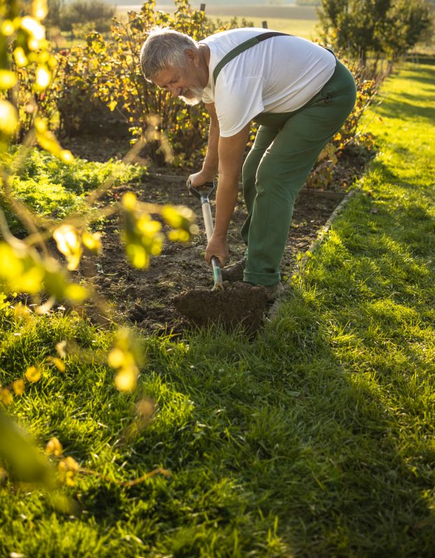 Early Spring Tilling