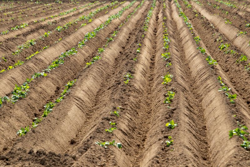 Optimized Water Retention