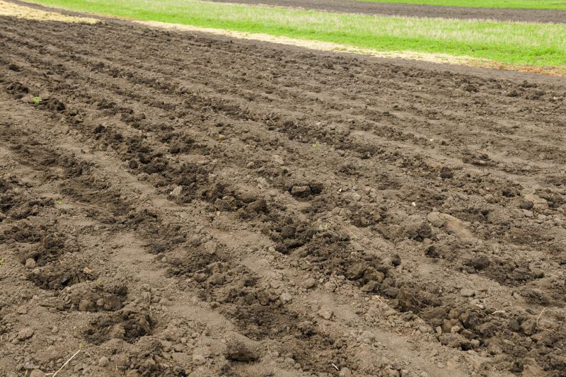 Promotes Plant Growth